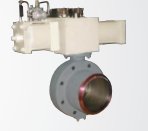 Butterfly Valve