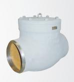 Check Valve